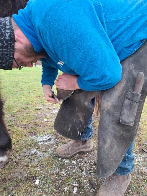 Ervaren bekapper hoefsmid, Dieren en Toebehoren, Paarden