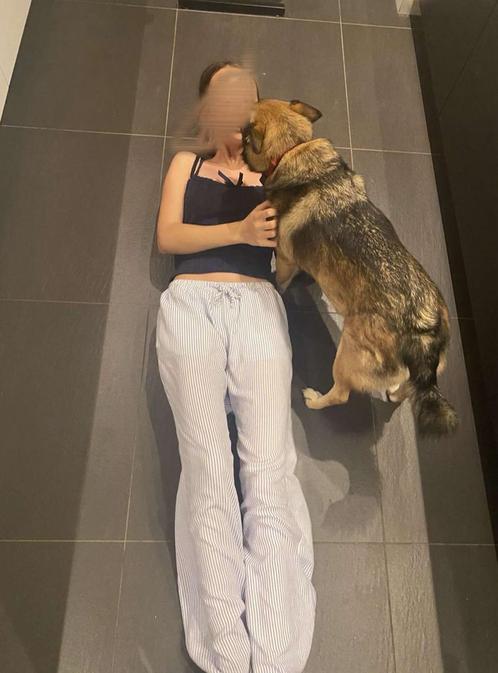 hondenoppas en wandelaar, Dieren en Toebehoren, Honden-accessoires, Zo goed als nieuw, Ophalen of Verzenden
