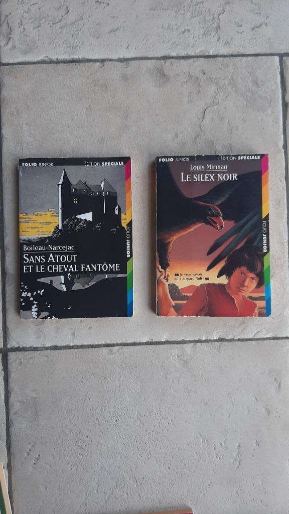 folio junior Silex noir préhistoire Sans atout cheval fantôm, Livres, Grossesse & Éducation, Utilisé, Éducation à partir de 10 ans
