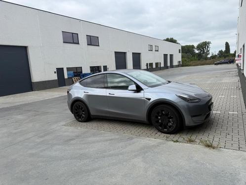 Tesla Model Y Model Y Long Range Dual Motor AWD, Auto's, Tesla, Particulier, Model Y, 4x4, Achteruitrijcamera, Adaptieve lichten