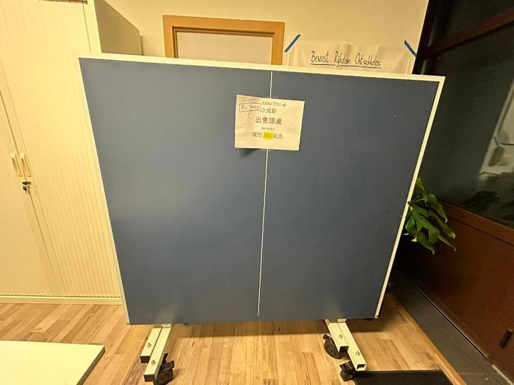 Table of Table tennis, Sport en Fitness, Tafeltennis, Zo goed als nieuw, Net, Batje(s) of Balletje(s), Inklapbaar, Wedstrijdformaat