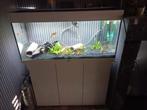 Juwel aquarium 240  zand  ,pomp ,verwarming  kienhout  led c, Ophalen, Zo goed als nieuw