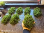 Groot Javamos  zeer robuust, Dieren en Toebehoren, Ophalen of Verzenden, Zo goed als nieuw, Plant(en), Steen of Hout