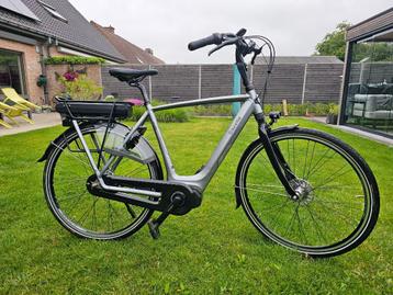 gazelle oranje C7 herenmodel beschikbaar voor biedingen