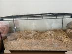 hamster kooi, Kooi, Zo goed als nieuw, Hamster, 75 tot 110 cm