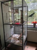 Grote vogelkooi/ papgaaienkooi, Dieren en Toebehoren, Vogels | Hokken en Kooien, Ophalen, Gebruikt, Vogelkooi