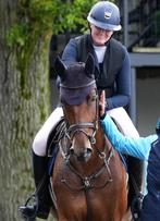 Zadelmak maken van paarden/pony’s en uitbrengen op wedstrijd, Dieren en Toebehoren, Weidegang, 2 of 3 paarden of pony's