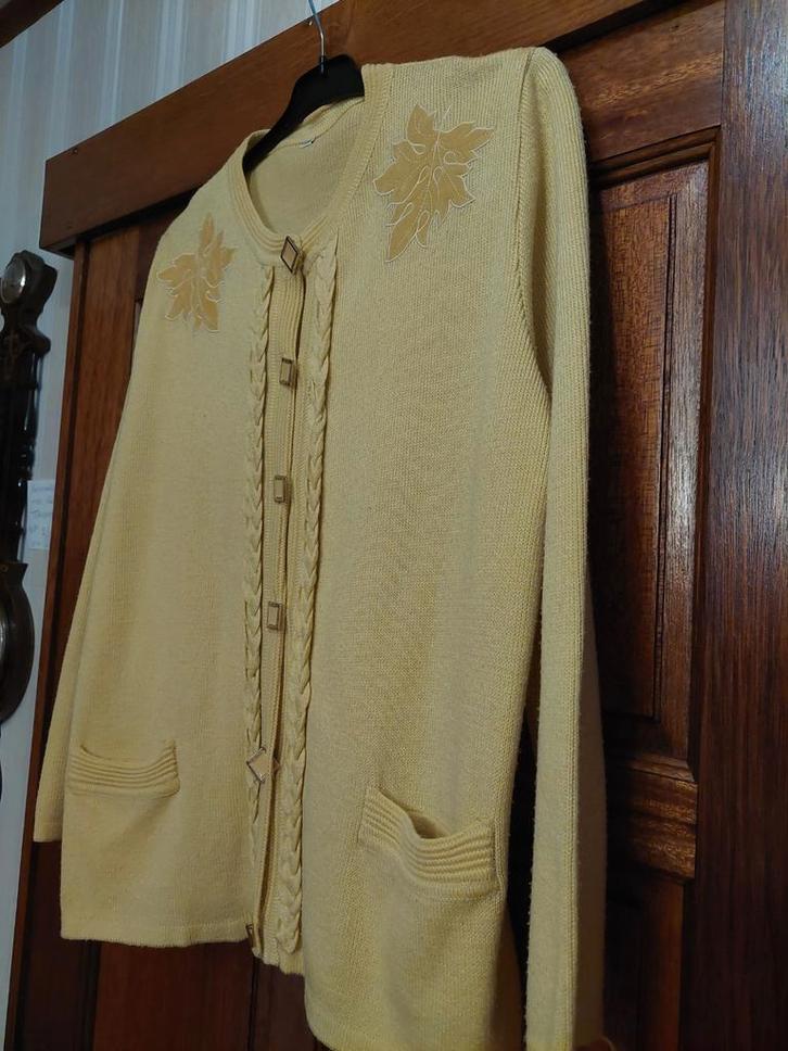 Wollen boetiek jacket, Kleding | Dames, Truien en Vesten, Zo goed als nieuw, Ophalen of Verzenden