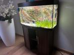 Juwel vision 180 aquarium, Dieren en Toebehoren, Ophalen, Zo goed als nieuw