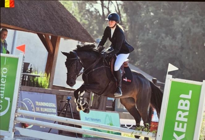 5-jarige Pegase merrie te koop, Dieren en Toebehoren, Paarden, Merrie, B, 160 tot 165 cm, 3 tot 6 jaar, Springpaard, Met stamboom