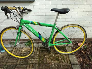 Gazelle Team TVM - retro koersfiets, kleine maat beschikbaar voor biedingen