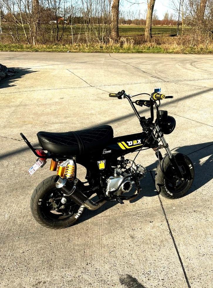 Dax 50cc B klasse, Vélos & Vélomoteurs, Cyclomoteurs | Honda, Utilisé, Autres modèles, Classe B (45 km/h), Enlèvement