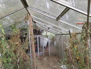 Serre, Tuin en Terras, Kassen, Ophalen, Gebruikt, Kweekkas, Glas