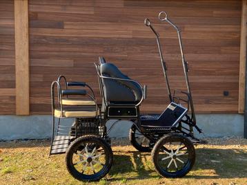 Menwagen, miniatuurpaard beschikbaar voor biedingen
