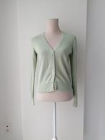 Pistache groene cardigan van WE, small, Vêtements | Femmes, Pulls & Gilets, Enlèvement ou Envoi, WE, Taille 36 (S), Comme neuf