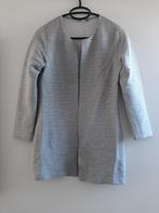 Grijze vest only, Kleding | Dames, Jassen | Zomer, Ophalen of Verzenden, Zo goed als nieuw, Maat 34 (XS) of kleiner