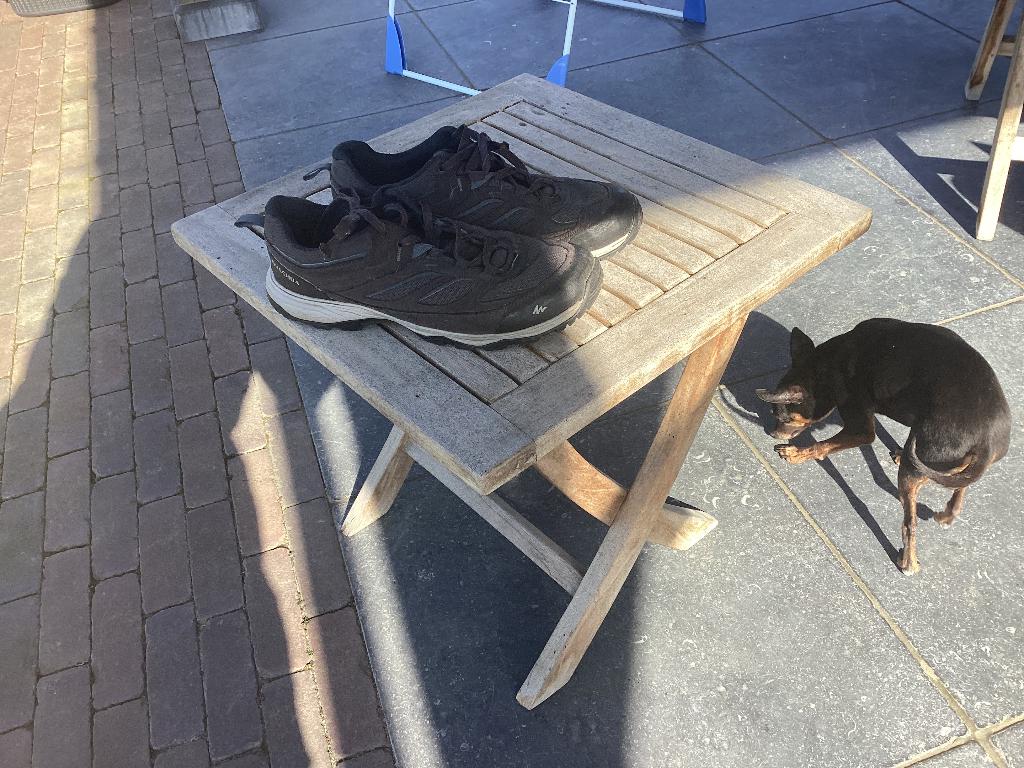 Comfortabele schoenen 44 gst, Ophalen of Verzenden, Quechua, Veterschoenen