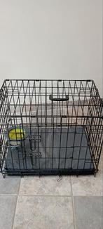 Bench hond, Dieren en Toebehoren, Ophalen