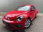 Volkswagen Beetle essence 26 000 km, Cuir, Berline, Achat, Coccinelle