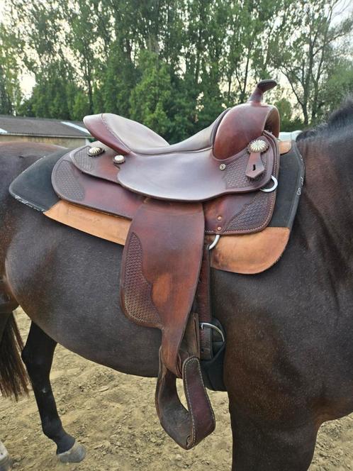 FQ Continental, Dieren en Toebehoren, Paarden en Pony's | Zadels, Zo goed als nieuw, Ophalen
