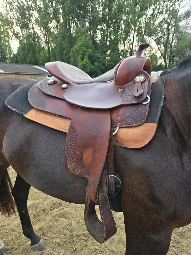 FQ Continental, Dieren en Toebehoren, Paarden en Pony's | Zadels, Zo goed als nieuw, Ophalen