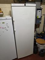 Liebherr diepvries, Electroménager, Congélateurs, Congélateur, 160 cm ou plus, Enlèvement, Utilisé