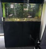 Aquatlantis fusion 100, Dieren en Toebehoren, Ophalen, Gebruikt, Leeg aquarium