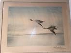 Léon Danchin — Ingelijste kleurenlithografie Ducks in flight, Ophalen of Verzenden