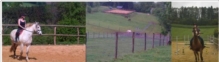 pension prairie pour chevaux, Dieren en Toebehoren, Stalling en Weidegang, Weidegang