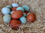 Eieren bio, Dieren en Toebehoren