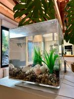 BiOrb Aquarium – compleet met accessoires, Ophalen, Gebruikt, Verlichting of Verwarming