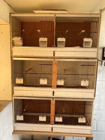 Kweekkooien vogels, Enlèvement, Utilisé, Cage d'élevage