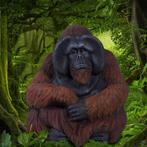 Orang-outan assis — Singe 76,2 x 66,1 x 86,4 cm