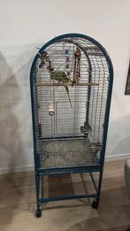 Cage peroquet, Enlèvement, Utilisé