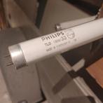 Néon fluorescent tl, Enlèvement