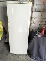 diepvriezer, Elektronische apparatuur, Vriezers en Diepvrieskisten, Gebruikt, 160 cm of meer, Ophalen, Vrieskast