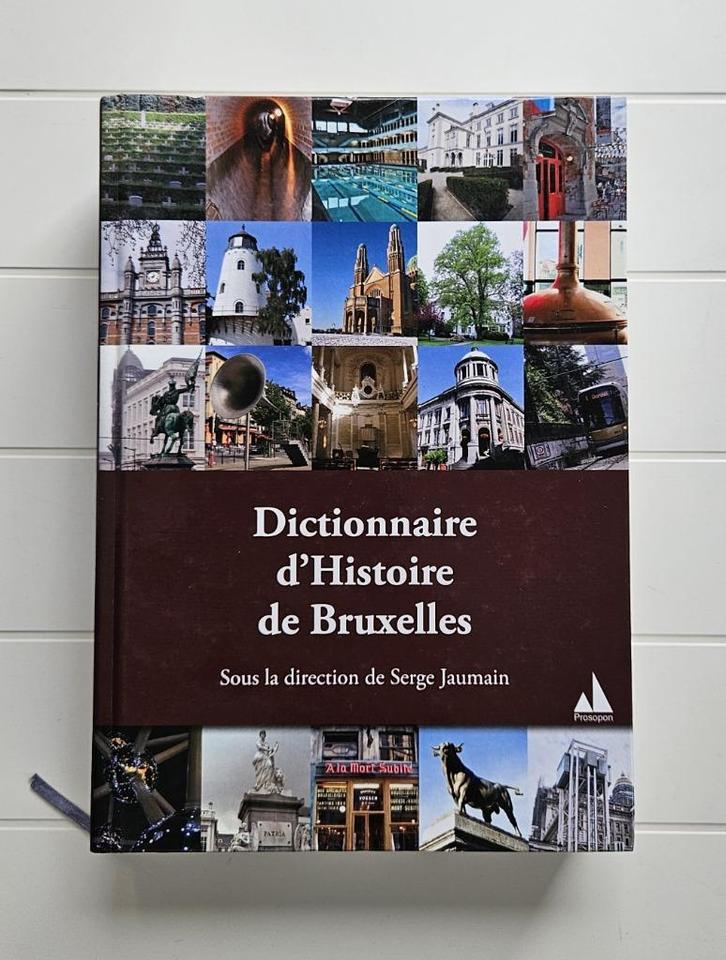 Woordenboek van de geschiedenis van Brussel, Boeken, Geschiedenis | Nationaal, Gelezen, Ophalen of Verzenden