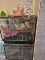 Cages pour rats ou rongeurs, Animaux & Accessoires, Comme neuf, Enlèvement