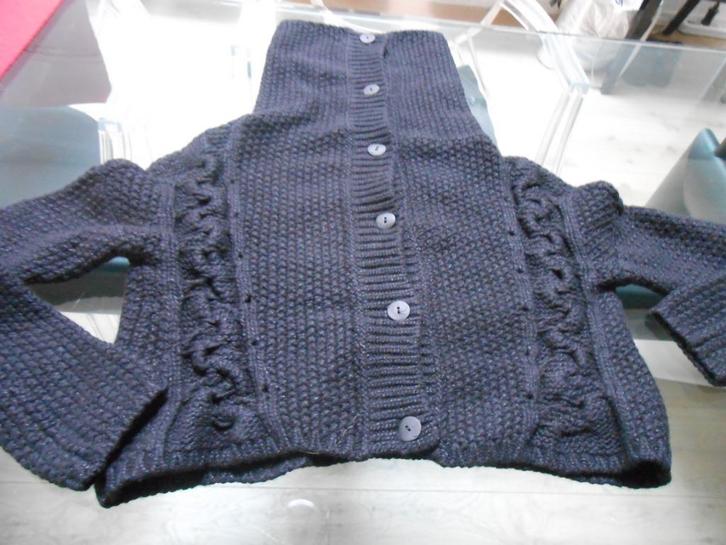 Sarah Pacini, Kleding | Dames, Truien en Vesten, Gedragen, Maat 36 (S), Ophalen of Verzenden