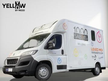 Peugeot Boxer Theault / Transport chevaux /  beschikbaar voor biedingen