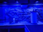 Zee aquarium en techniek/onderdelen/verzorging, Dieren en Toebehoren, Ophalen, Gebruikt, Gevuld zeewateraquarium