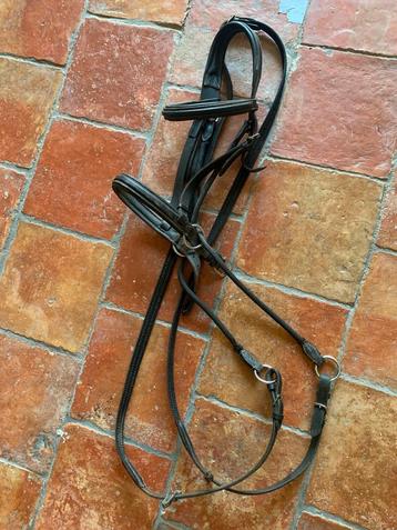 Shetlander lederen hoofdstel + halster beschikbaar voor biedingen