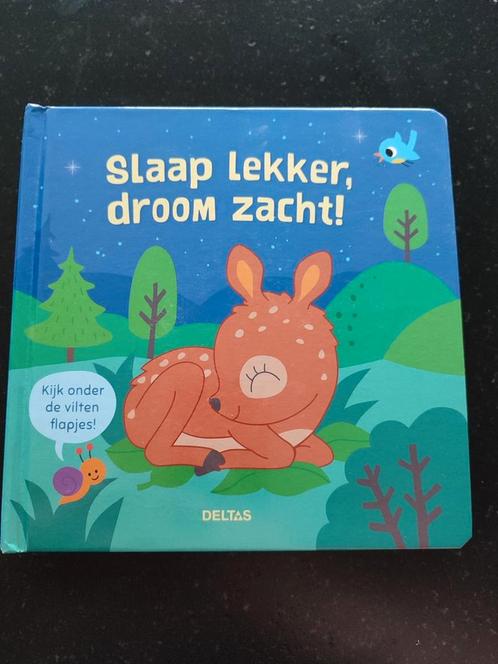 Slaap lekker, droom zacht!, Boeken, Kinderboeken | Baby's en Peuters, Zo goed als nieuw, 1 tot 2 jaar, Ophalen of Verzenden