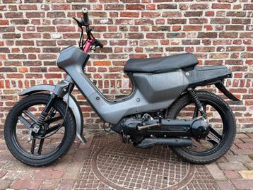 Honda wallaroo b klasse beschikbaar voor biedingen