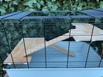 Kooi hamster + accesoires, Dieren en Toebehoren, Ophalen, Gebruikt, Kooi, Hamster