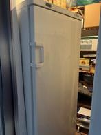 diepvries Miele F 7461 S, Elektronische apparatuur, Vriezers en Diepvrieskisten, Gebruikt, 160 cm of meer, Energieklasse A of zuiniger