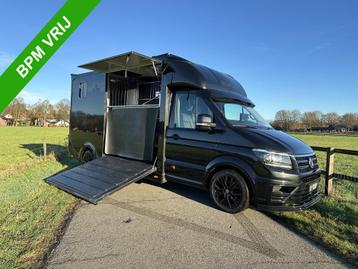 Volkswagen Crafter 2-paards paardenvrachtwagen Automaat XXL, Gebruikt, Overige typen