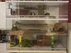 Caviakooi van Glas – Grote Knaagdierkooi op Maat, Minder dan 60 cm, 110 cm of meer, Nieuw, Ophalen of Verzenden