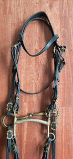 Bride ancienne 1900–1930, Animaux & Accessoires, Enlèvement ou Envoi, Utilisé, Dressage