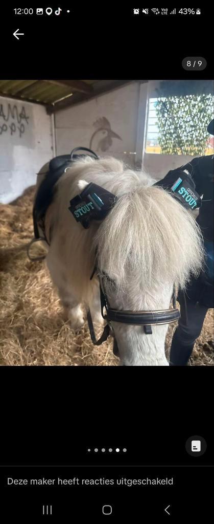Halve stal gezocht, Dieren en Toebehoren, Paarden en Pony's | Verzorgingsproducten, Zo goed als nieuw, Ophalen of Verzenden